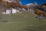 20101105_123140 Dasile.jpg